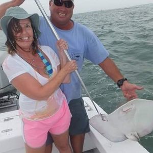 Meet your Posher, Maggie